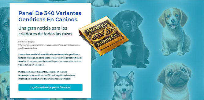 Panel de 340 variantes genéticas en caninos.