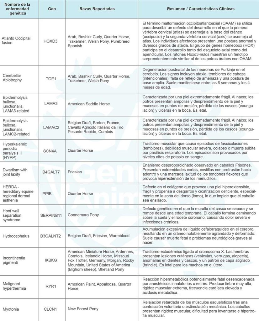 Enfermedades equinas 1