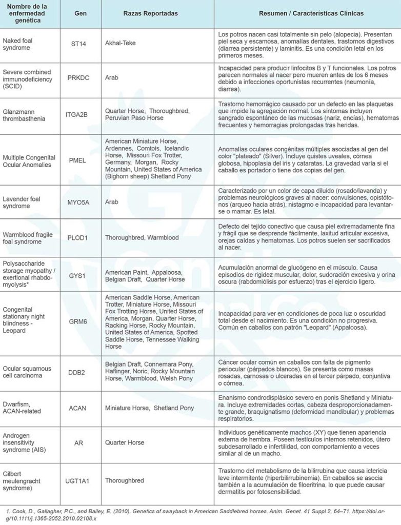 enfermedades equinas 2