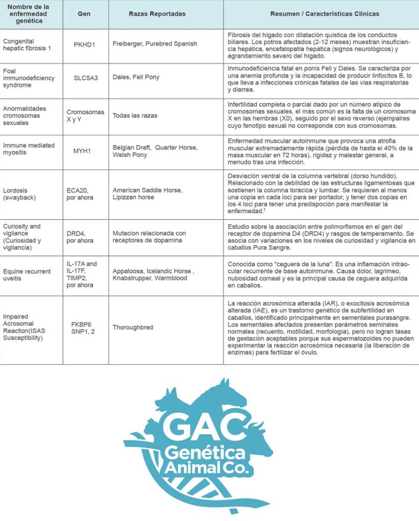enfermedades equinas 3