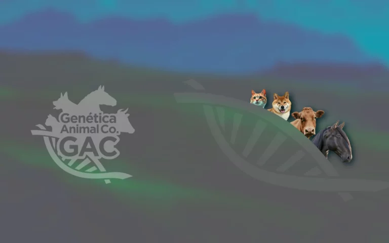 Genética en el ganado