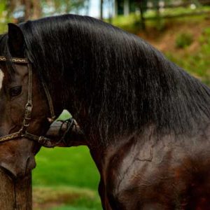 Marcadores genéticos salud