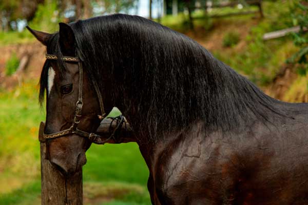 Marcadores genéticos salud
